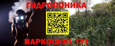 ECSTASY Гусев
