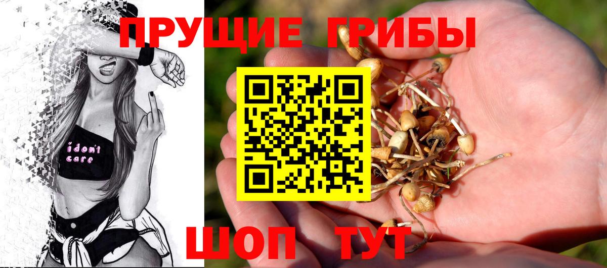 Галлюциногенные грибы GOLDEN TEACHER  Вход с VPN  Кострома 